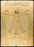 Leonard de Vinci : l'Homme de Vitruve
